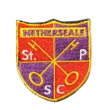 nssc-logo-removebg-preview